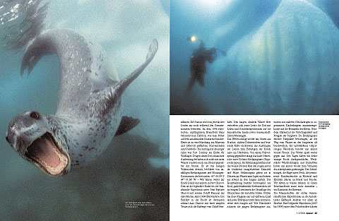 Aquanaut nr. 1-2/2006 page 34-35