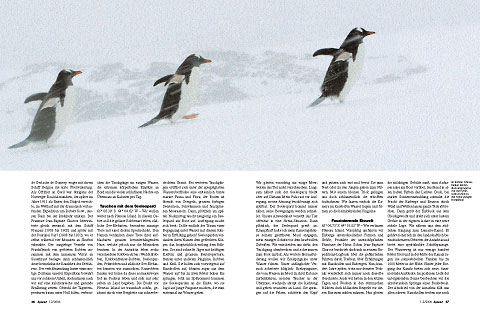 Aquanaut nr. 1-2/2006 page 36-37